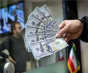 آخرین وضعیت قیمت دلار در بازار آزاد امروز سه شنبه 20 آبان 1404؛ قیمت دلار ریخت!