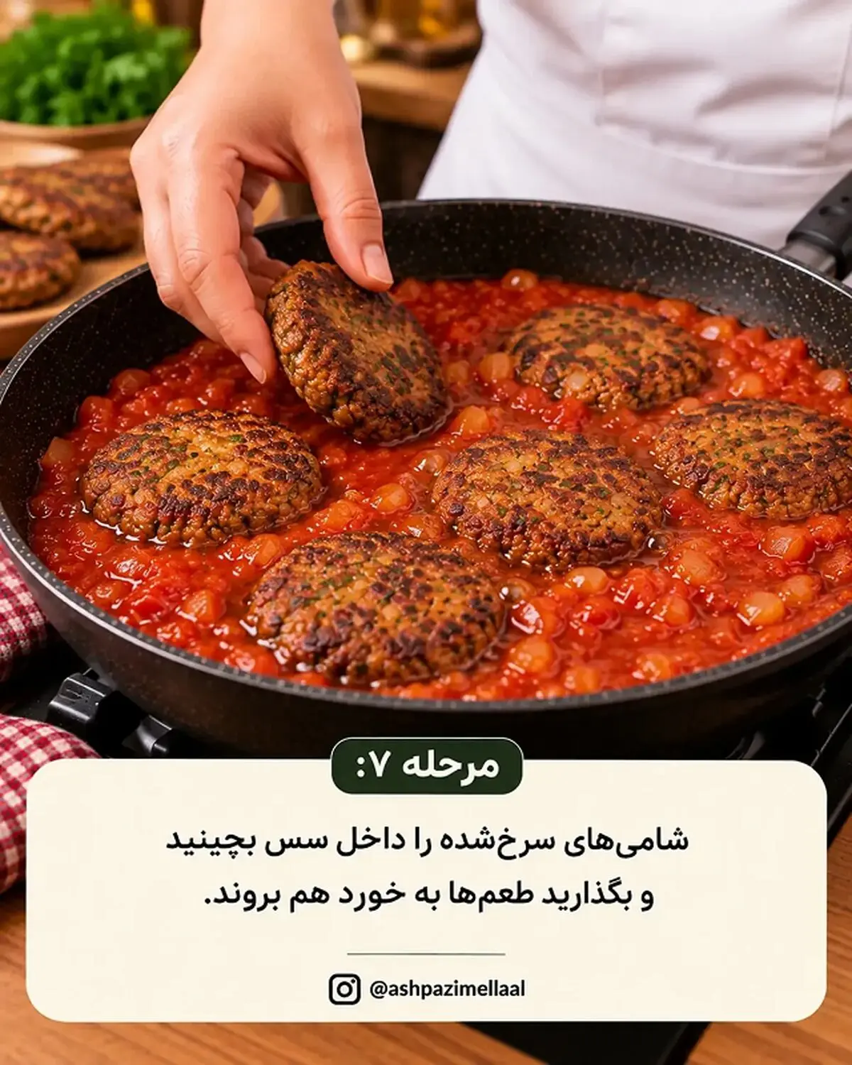 شامی ترش 7