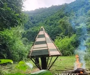 معماری خلاقانه؛ آقاهه تو جنگل دست تنها با چوب درختا یه کلبه ساخته شکل چتر