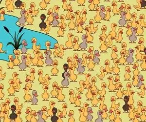 بازی فکری؛ اگه بند بند و ذره ذره وجودت هوش درنگ نکن جوجه اردک زشت رو بین بزرگا دریاب