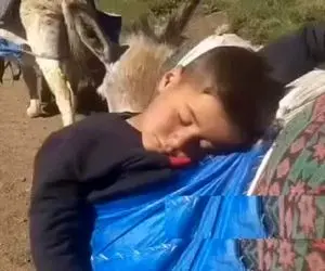 آواز محلی؛ پسرک رو الاغ خوابیده براش آهنگ سوزناک ترکی میخونن درحال حرکت