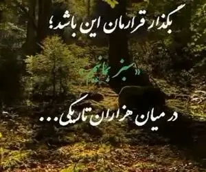آواز احساسی؛ این آهنگ هر آدمی رو عاشق خودش میکنه؛ تا کی به تمنای وصل تو یگانه...