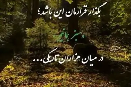 آواز احساسی؛ این آهنگ هر آدمی رو عاشق خودش میکنه؛ تا کی به تمنای وصل تو یگانه...