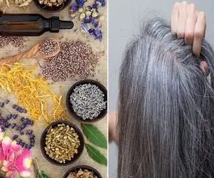 راه های گیاهی پیشگیری از سفید شدن مو / مخصوص اونا که ارثشون بده و موهاشون سن کم سفیده