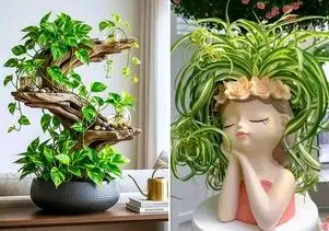 خوشگلترین چیدمان پتوس در خانه؛ ایده قرارگیری گیاه آپارتمانی رونده روی شیشه یا چوب