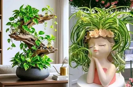 خوشگلترین چیدمان پتوس در خانه؛ ایده قرارگیری گیاه آپارتمانی رونده روی شیشه یا چوب