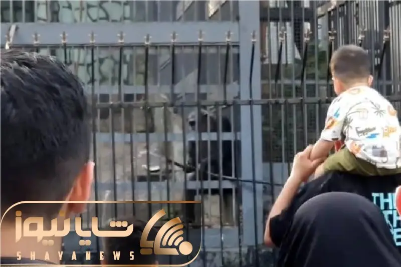 طنز ایرانی؛ میمون باغ وحش ارم شلنگ برداشته ملتو خیس کنه