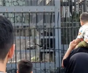 طنز ایرانی؛ میمون باغ وحش ارم شلنگ برداشته ملتو خیس کنه