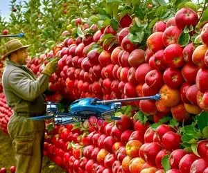 کشاورزی نوین؛ ماشینای پیشرفته کشاورزی که تو ژاپن برای کاشت و برداشت سیب استفاده میشه