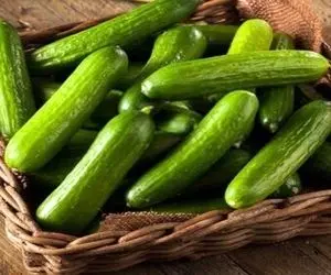 خودکشی یک مشهدی با خیار + عکس