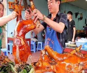 کباب سگ؛ سگ هاسکی که مفلوک شد دست و پا بسته رو آتیش کبابی و با سس سیر سرو کردن