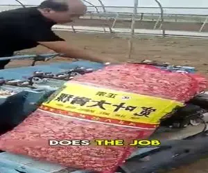 کشاورزی نوین؛ دستگاهه بدون خم و راست شدن آدمیزاد خودکار محصولو میکاره تو زمین عالیه