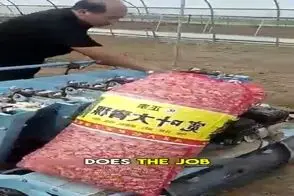 کشاورزی نوین؛ دستگاهه بدون خم و راست شدن آدمیزاد خودکار محصولو میکاره تو زمین عالیه