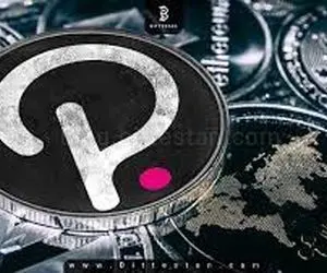 پولکادات چه هدفی را دنبال می کند؟