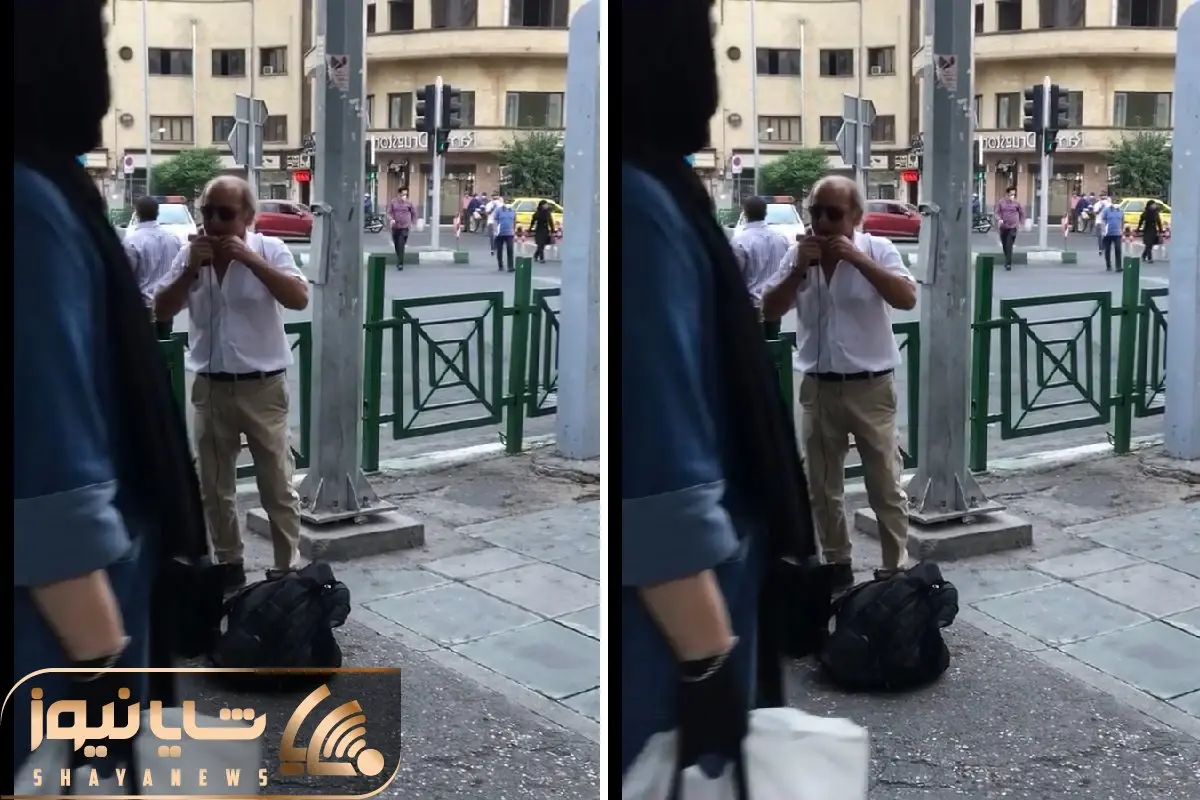 آواز خیابانی؛ ببینید این پیرمرد خوش پوش چه دلنشین ساز دهنی میزنه و احساسیت میکنه