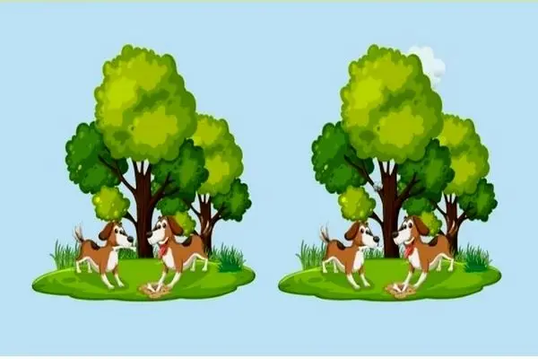بازی فکری؛ میخوای بدونی چشمت مثل خلبان جنگنده است یا نه 3 تا تفاوت تصویر رو پیدا کن