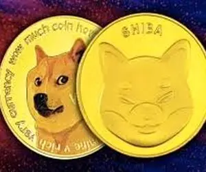 چه بلایی سر شیبااینو و دوج کوین می خواد بیاد؟!