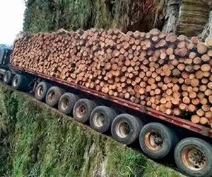 جابه جایی کوه پیکر؛ راننده ای که کامیون رو تا خرخره بار زده دو نفرم اون بالا نشونده 