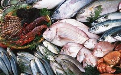 قیمت روز انواع ماهی و میگو +جدول