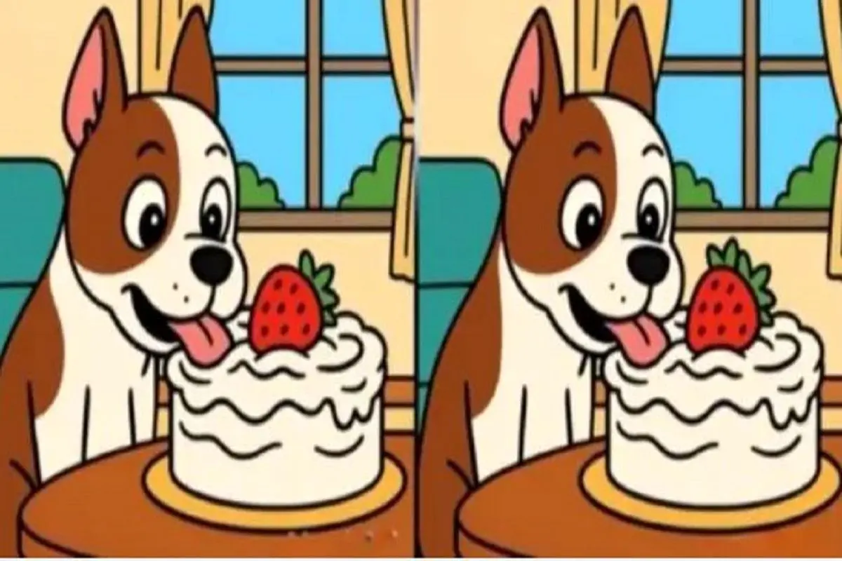 بازی فکری؛ 3 تا تفاوت تو این 2 تا عکس هست که پیداش کنی چشات بیگ لایک داره