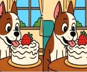 بازی فکری؛ 3 تا تفاوت تو این 2 تا عکس هست که پیداش کنی چشات بیگ لایک داره