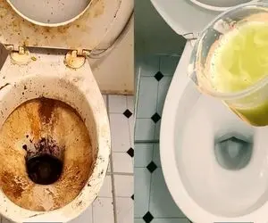 محلول جادویی و خانگی که جرم و زردی چند ساله ی کاسه توالت رو از بین میبره / تو 5 دقیقه