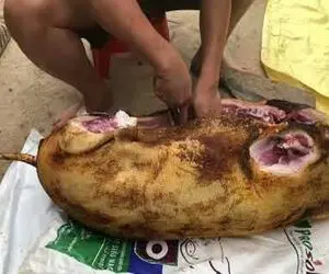 کباب سگ؛ سگ ولگرد زیادی واق واق میکرد دستو پاشو شکوندن شکمشو خالی و بریونی کردنش