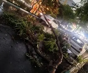 طوفان شدید تهران جان چند نفر را گرفت؟