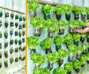 ایده های خلاقانه؛ باغچه ایستاده واسه تزئین دیوار حیاط و تراس محشره هم آسون هم خوشگل