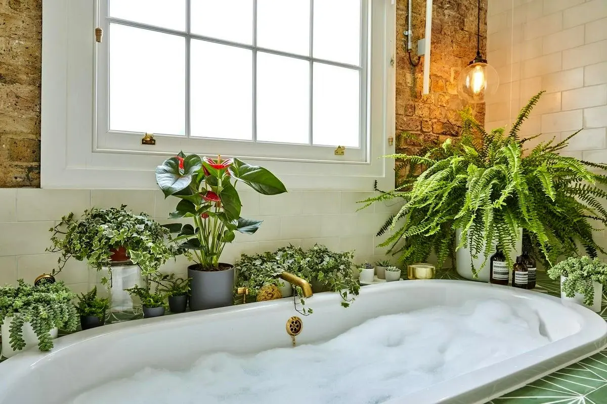 plants-love-the-bathroom-cover