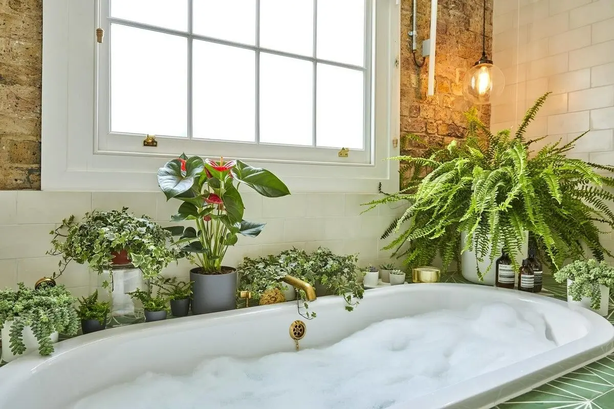 plants-love-the-bathroom-cover