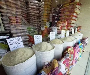 قیمت انواع برنج ایرانی و خارجی در شهریور ۱۴۰۴