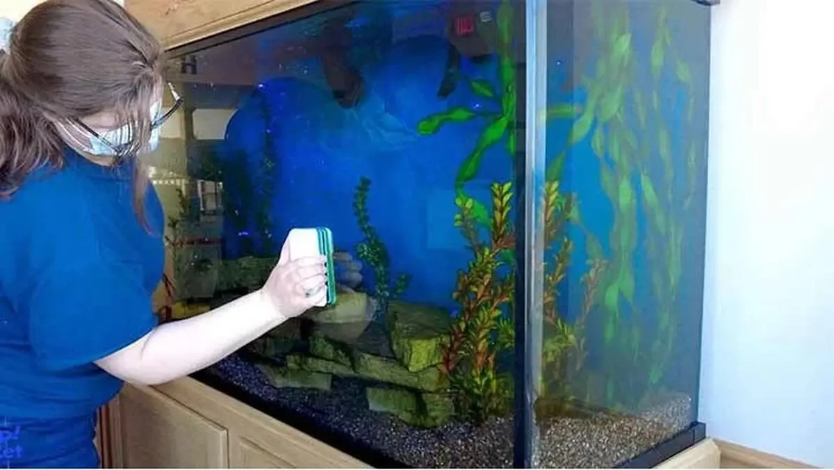 acvarium3