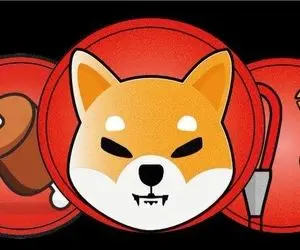 سناتور آمریکایی: شیبا باید ارز رسمی شود؟