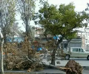 تندبادهای شدید در ارتفاعات طی روزهای پایانی هفته/ از دره‌نوردی خودداری کنید