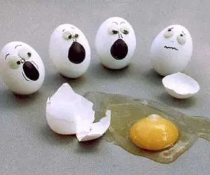 بازی فکری؛ معمای تخم مرغی رو 80 درصد آدما نتونستن از پسش بربیان؛ تو جز 20 درصدی؟