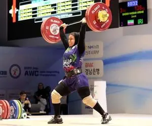 زینب شیخ حسن ارباب محروم شد + علت