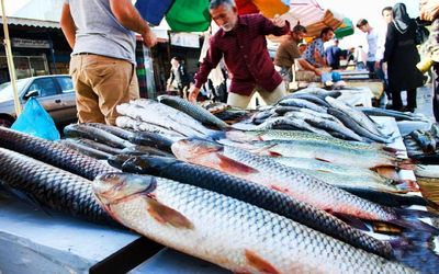 قیمت انواع ماهی امروز چهارشنبه 7 مهر