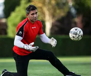 بدنسازی عجیب و غریب عقاب آسیا با نیمکت پارک