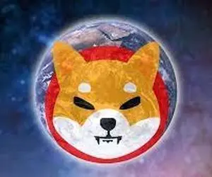 شیبااینو پادشاهی را پس می‌گیرد؟!