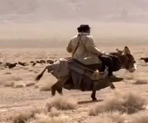 آواز جگرسوز؛ چوپان پیر فهمید پسرش شهید شده زد به بیابون و خوند از سوز صداش سینه میزنی