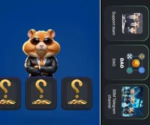 کارت های همستر کامبت امروز جمعه 30 شهریور + آموزش وارد کردن