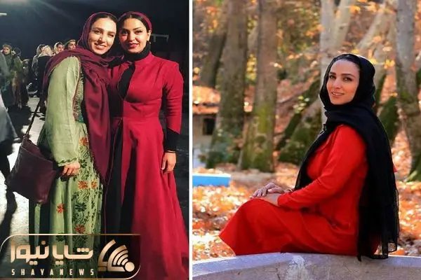 sogol tahmasbii shayanews