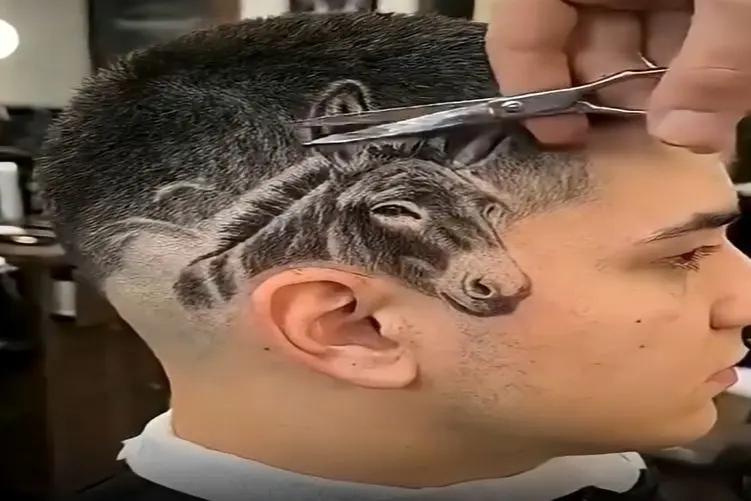 ایده احمقانه؛ الان با این مدل مو که دوستمون زده بهش بگن خر خودتی صدق میکنه؟