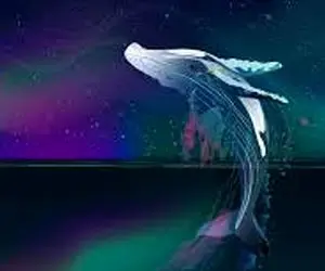  بیدار شدن نهنگ دیگری از خواب زمستانی؛150 هزار دلار؟