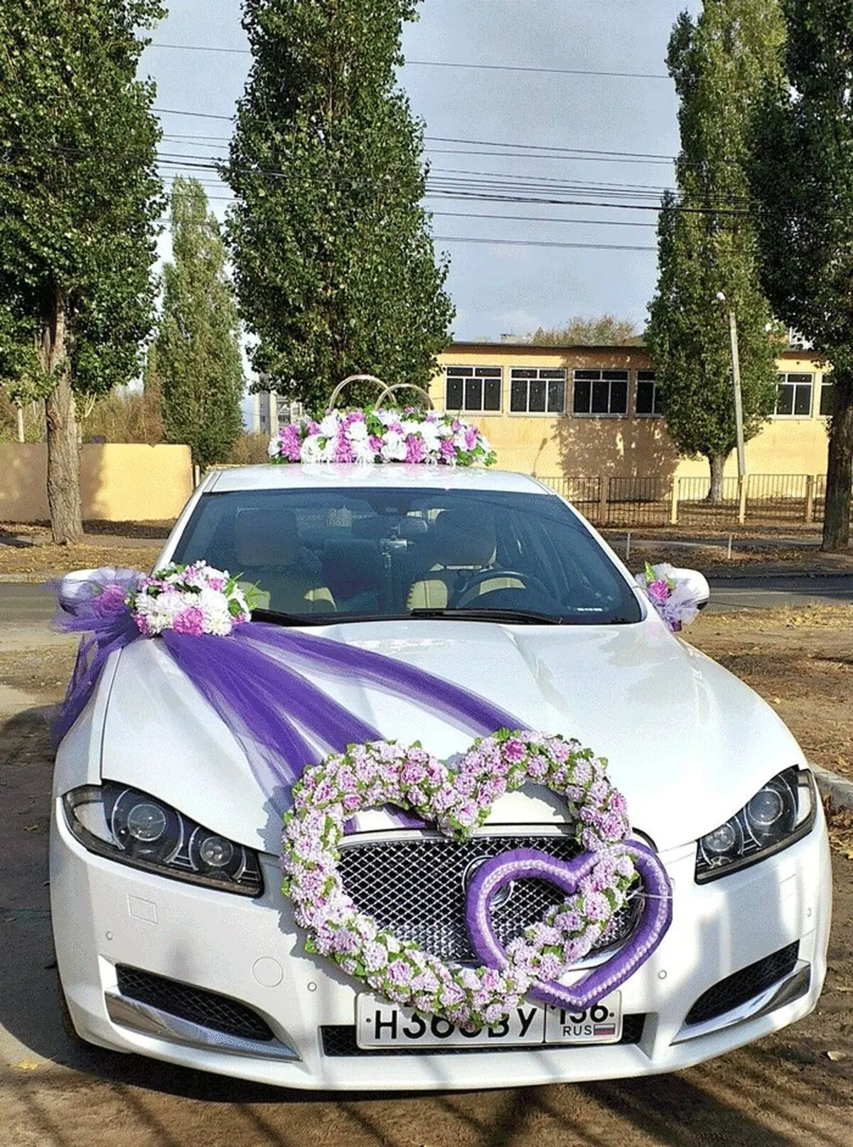 عروس6