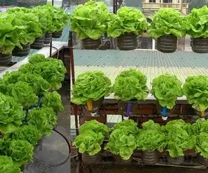 ایده های خلاقانه؛ باغچه ایستاده یه ایده جذاب برای خونه هاییه که باغچه کف حیاط ندارن