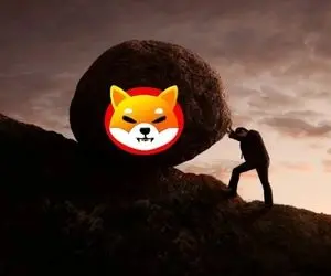 باب اسفنجی شیبااینو رو له میکنه؟