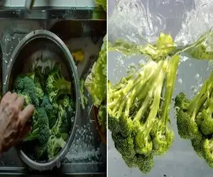 صفر تا صد شستن صحیح کلم بروکلی/ سلاح مخفی برای نابودی میکروب های موزی بین گل ها