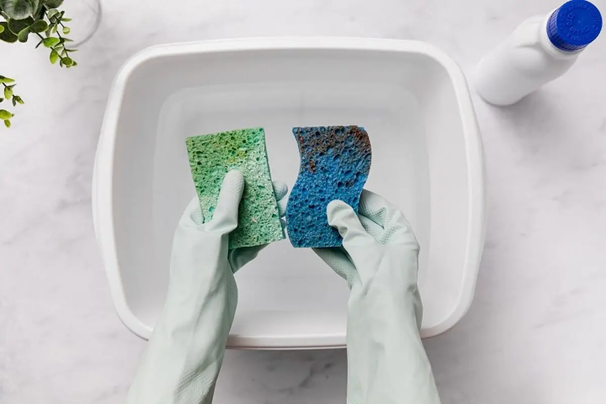 Clean-a-Sponge-with-Bleach-